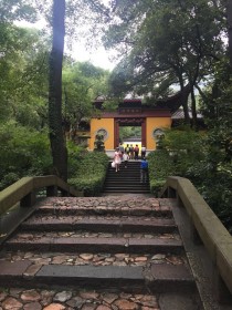 杭州灵隐寺：祈愿心灵的馈赠之旅 (杭州灵隐寺门票怎么预约)