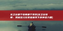 龙之谷哪个牧师哪个系好 (龙之谷牧师：揭秘多元化职业体系下的神圣力量)