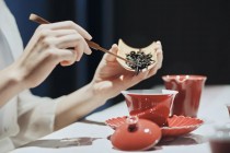 泡普洱茶用什么紫砂壶 (泡普洱茶用什么茶具)