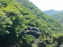 神农架旅游攻略自由行路线 (神农架旅游攻略：探秘神秘的自然之都，畅享两日游)