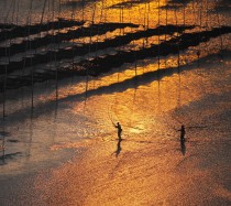 霞浦北岐附近还有什么景点 (探索霞浦北岐滩涂：攻略揭秘+)