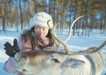 沈阳到雪乡旅游攻略：美丽风景与独特体验的完美结合 (沈阳到雪乡旅游攻略)